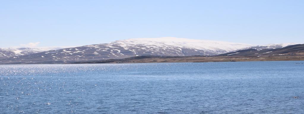 هولمافيك Iceland Visit Hostel المظهر الخارجي الصورة